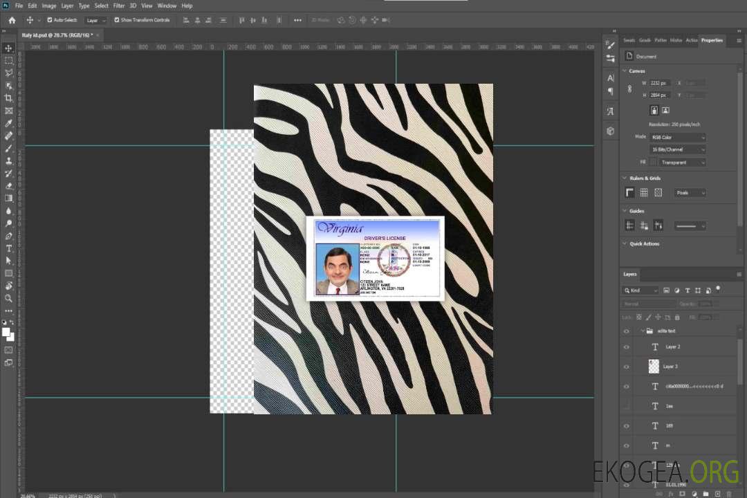 USA Virgina DL version 2 photolook AVANT template USA Virgina DL version 2 photolook AVANT template